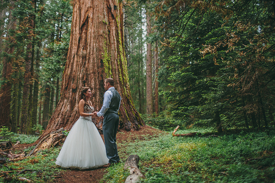 Forest wedding near Yosemite, Brett and Tori Photographers, husband and wife wedding photography team