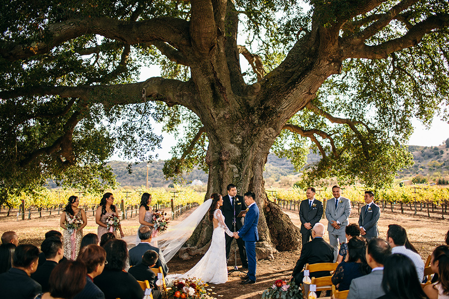 The vintage ranch wedding, paso robles california, brett and tori photographers, husband and wife photojournalistic wedding photography, vineyard wedding