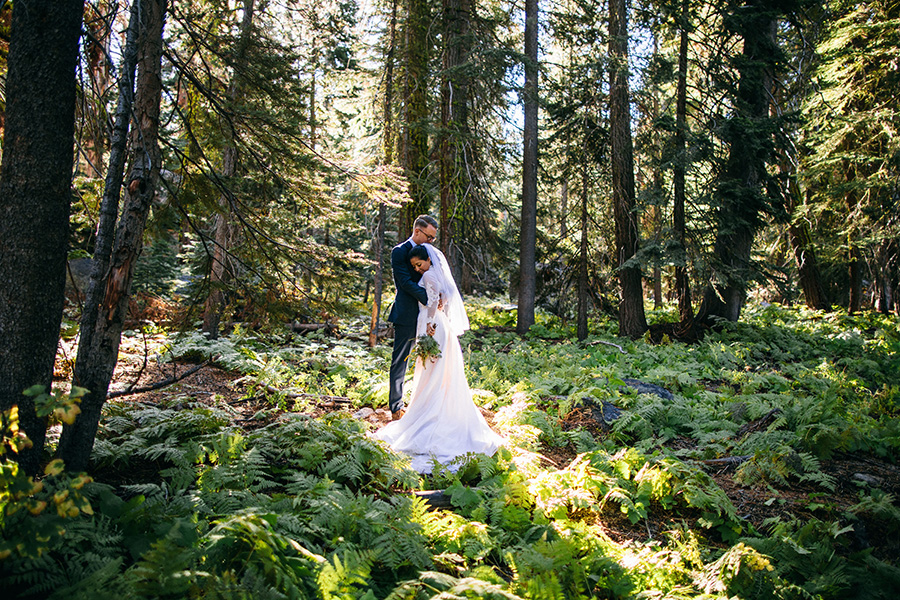 bride and groom in the forest after their micro wedding, Yosemite National Park